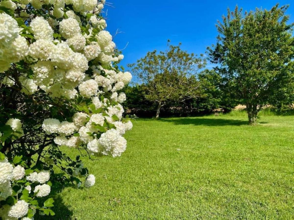La Ferme Du Bois De Plottes B&B 외부 사진