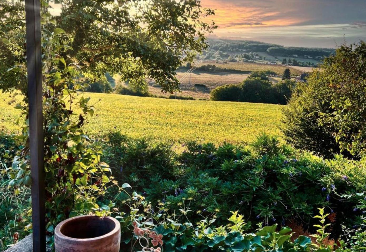 La Ferme Du Bois De Plottes B&B 외부 사진